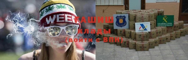 сатива Богданович