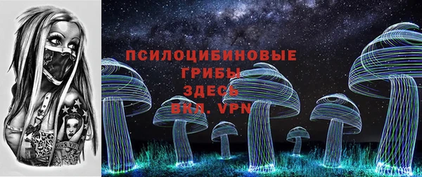 мдпв Богородицк