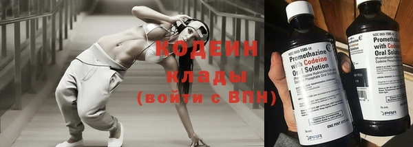 сатива Богданович