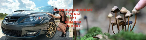 мдпв Богородицк
