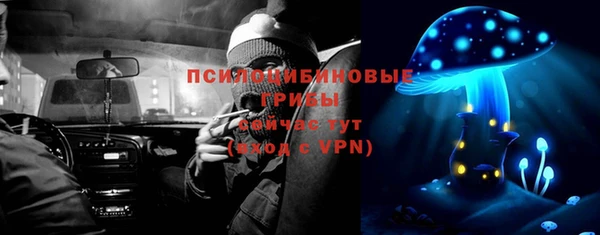 сатива Богданович