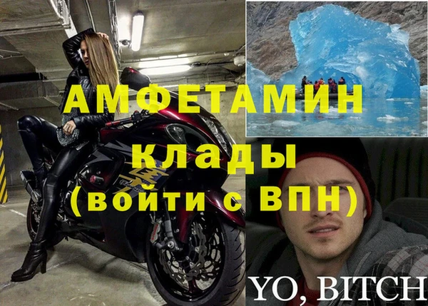 сатива Богданович