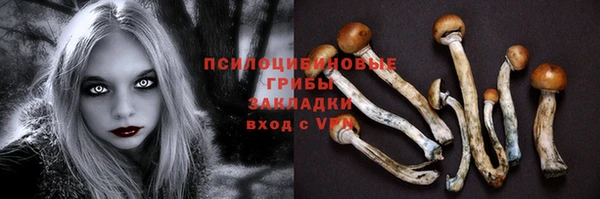 мдпв Богородицк
