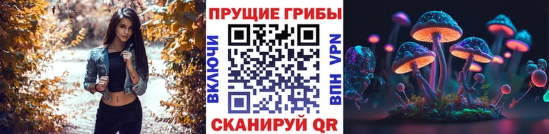 Галлюциногенные грибы мицелий Бологое